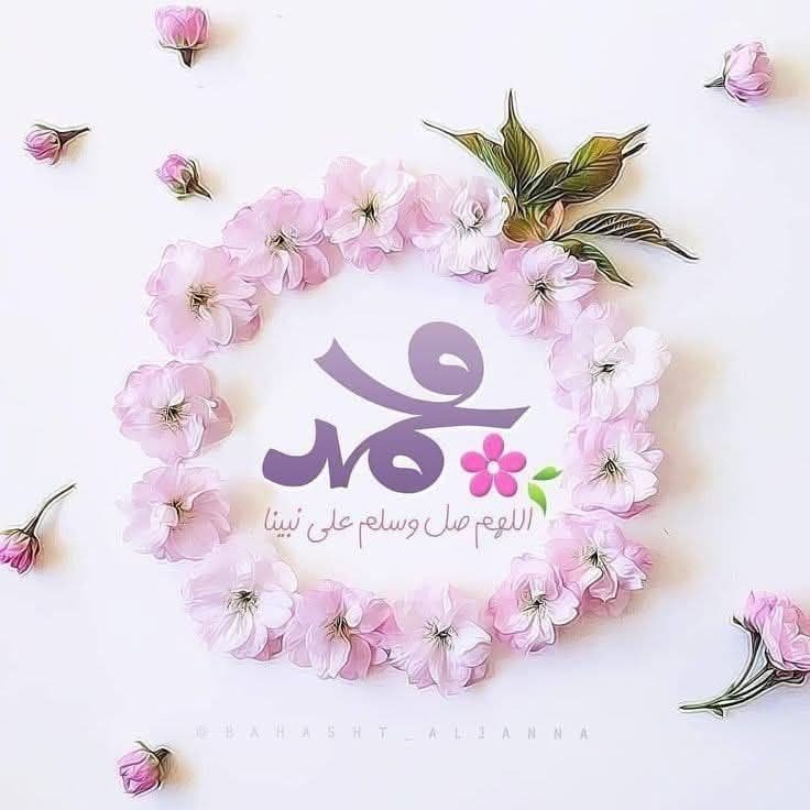 صورة الملف الشخصي لـ وفاء