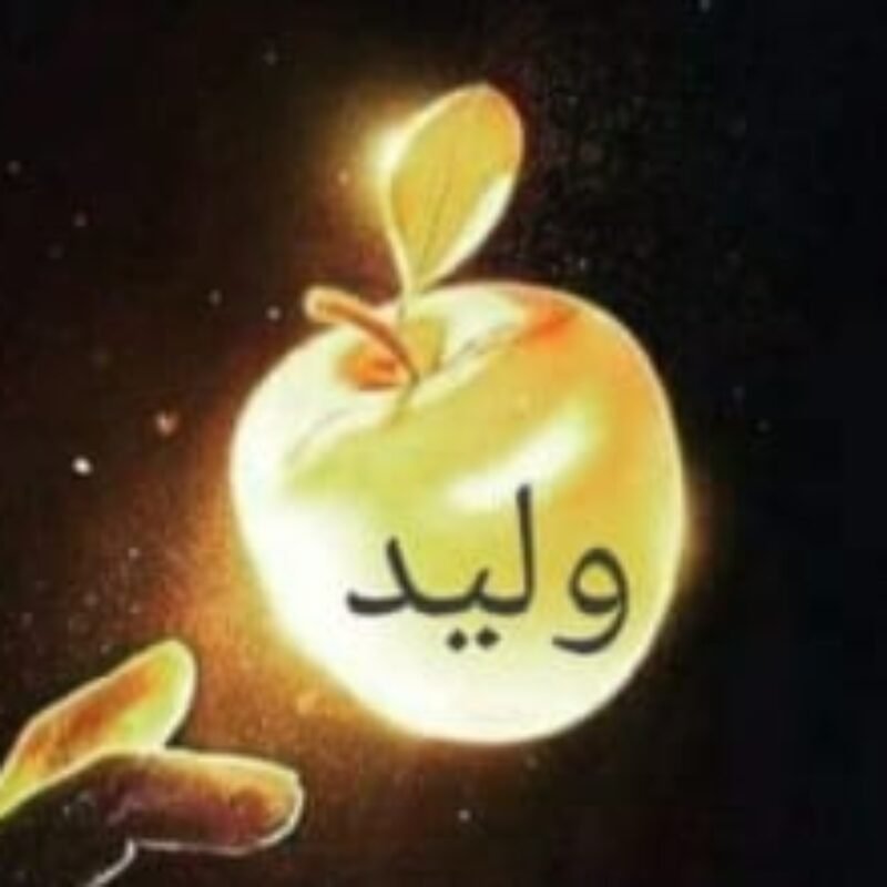 صورة الملف الشخصي لـ Waleed Taha